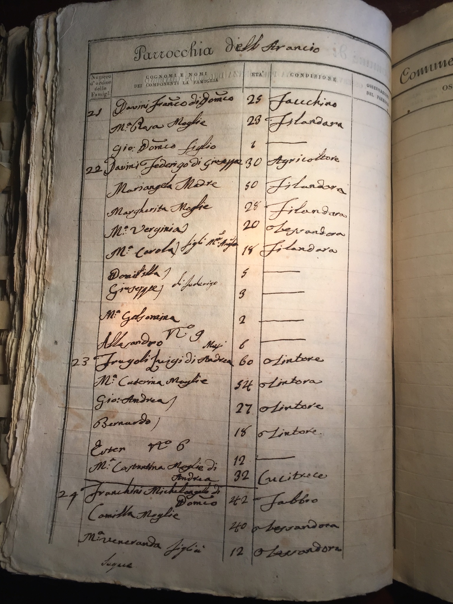 1801 1900 Genealogia Davini Genealogy